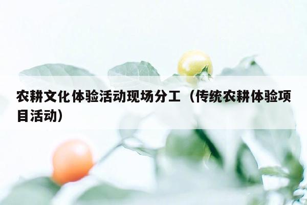 农耕文化体验活动现场分工（传统农耕体验项目活动）