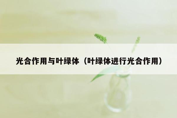 光合作用与叶绿体（叶绿体进行光合作用）