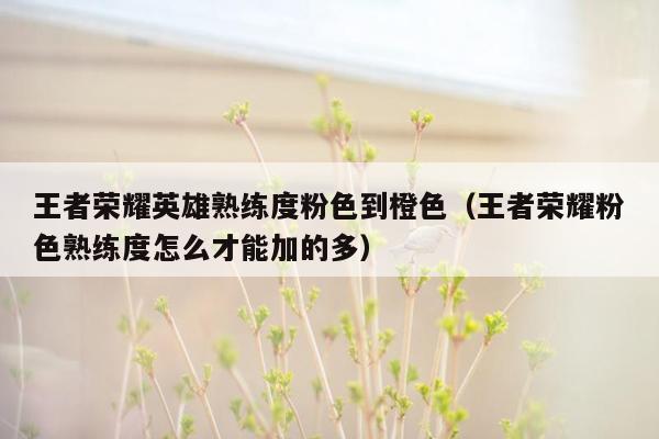 王者荣耀英雄熟练度粉色到橙色（王者荣耀粉色熟练度怎么才能加的多）