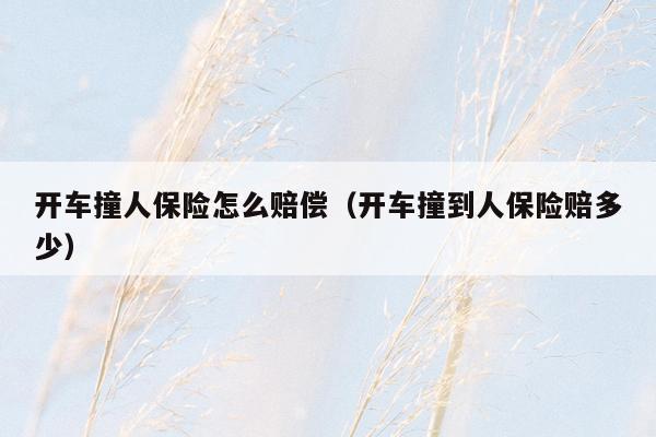 开车撞人保险怎么赔偿（开车撞到人保险赔多少）