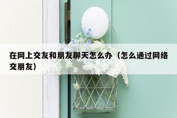 在网上交友和朋友聊天怎么办（怎么通过网络交朋友）