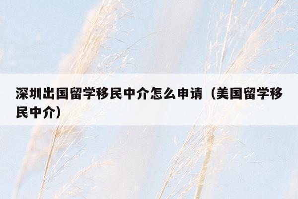 深圳出国留学移民中介怎么申请（美国留学移民中介）