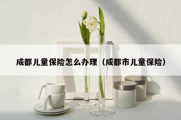 成都儿童保险怎么办理（成都市儿童保险）