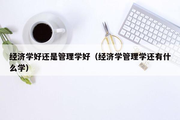 经济学好还是管理学好（经济学管理学还有什么学）