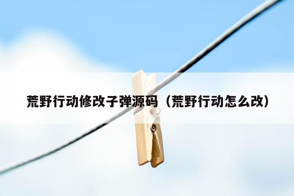荒野行动修改子弹源码（荒野行动怎么改）