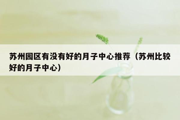 苏州园区有没有好的月子中心推荐（苏州比较好的月子中心）