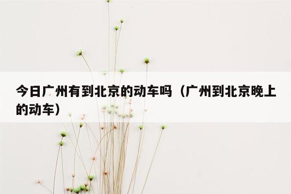 今日广州有到北京的动车吗（广州到北京晚上的动车）