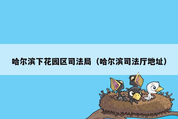 哈尔滨下花园区司法局（哈尔滨司法厅地址）