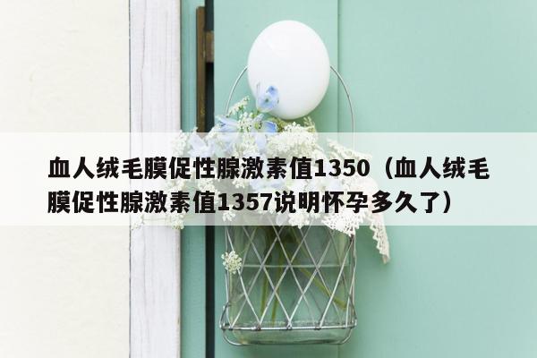 血人绒毛膜促性腺激素值1350（血人绒毛膜促性腺激素值1357说明怀孕多久了）