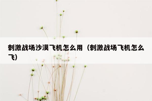 刺激战场沙漠飞机怎么用（刺激战场飞机怎么飞）
