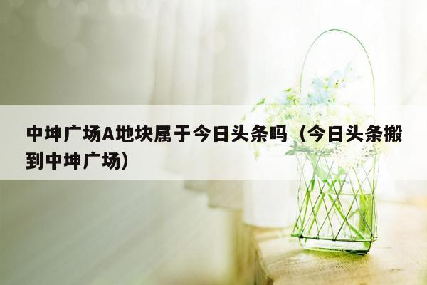 中坤广场A地块属于今日头条吗（今日头条搬到中坤广场）