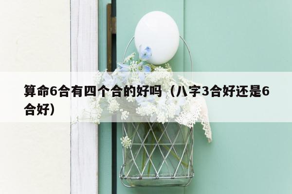 算命6合有四个合的好吗（八字3合好还是6合好）