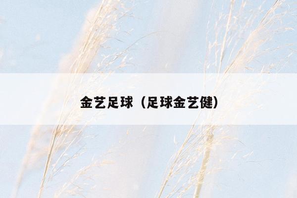 金艺足球（足球金艺健）