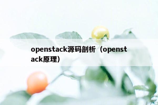 openstack源码剖析（openstack原理）