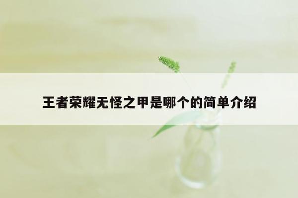 王者荣耀无怪之甲是哪个的简单介绍