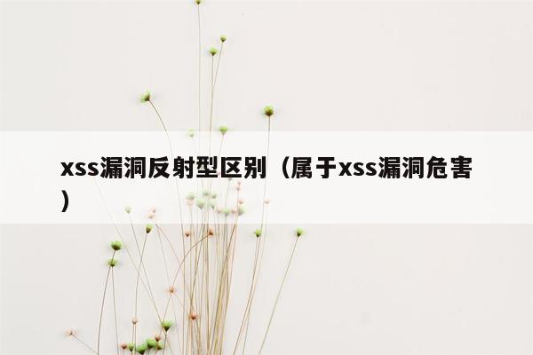 xss漏洞反射型区别（属于xss漏洞危害）