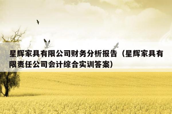 星辉家具有限公司财务分析报告（星辉家具有限责任公司会计综合实训答案）