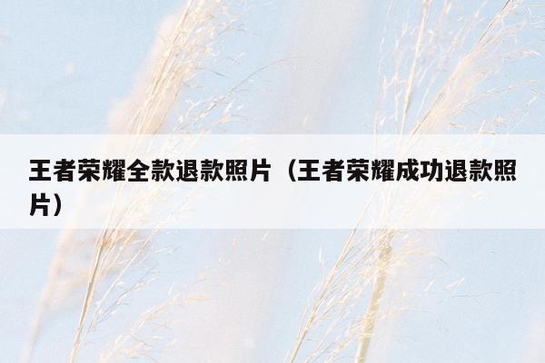 王者荣耀全款退款照片（王者荣耀成功退款照片）
