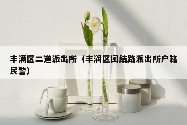 丰满区二道派出所（丰润区团结路派出所户籍民警）