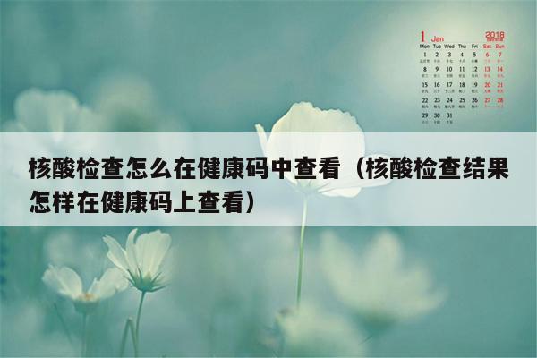 核酸检查怎么在健康码中查看（核酸检查结果怎样在健康码上查看）