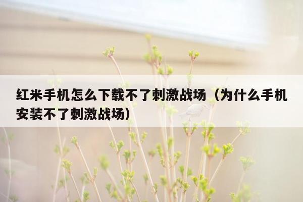 红米手机怎么下载不了刺激战场（为什么手机安装不了刺激战场）