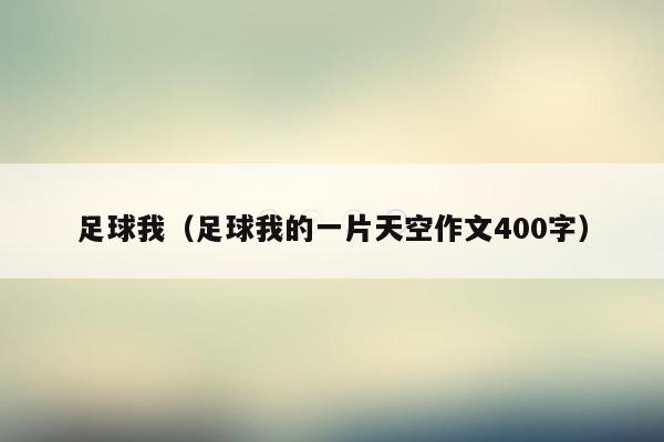 足球我（足球我的一片天空作文400字）