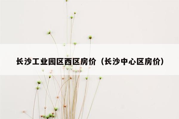 长沙工业园区西区房价（长沙中心区房价）