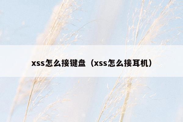 xss怎么接键盘（xss怎么接耳机）