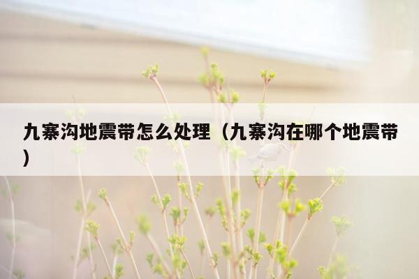 九寨沟地震带怎么处理（九寨沟在哪个地震带）