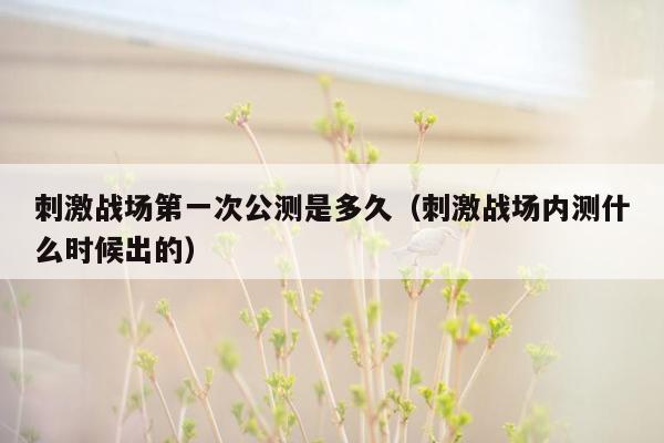 刺激战场第一次公测是多久（刺激战场内测什么时候出的）