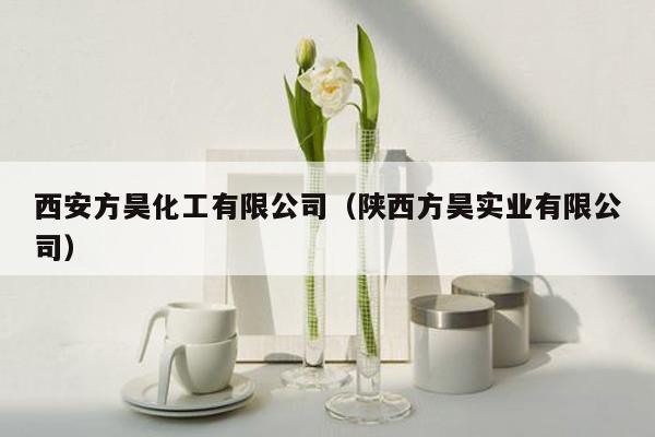 西安方昊化工有限公司（陕西方昊实业有限公司）