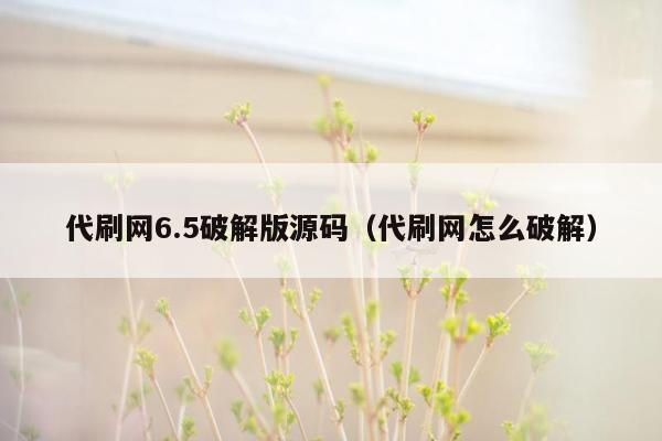 代刷网6.5破解版源码（代刷网怎么破解）