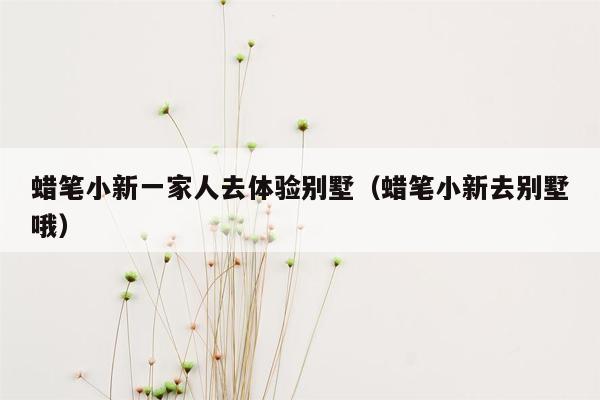 蜡笔小新一家人去体验别墅（蜡笔小新去别墅哦）