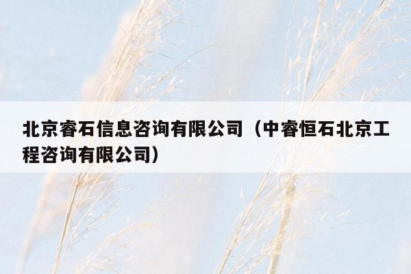 北京睿石信息咨询有限公司（中睿恒石北京工程咨询有限公司）