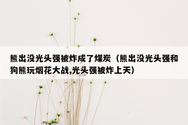 熊出没光头强被炸成了煤炭（熊出没光头强和狗熊玩烟花大战,光头强被炸上天）