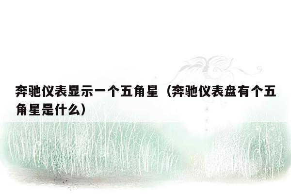 奔驰仪表显示一个五角星（奔驰仪表盘有个五角星是什么）