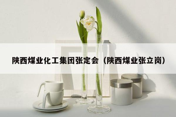 陕西煤业化工集团张定会（陕西煤业张立岗）