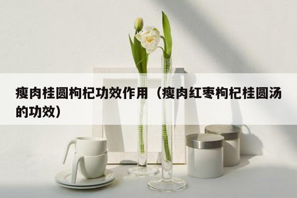 瘦肉桂圆枸杞功效作用（瘦肉红枣枸杞桂圆汤的功效）