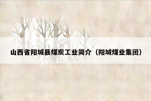 山西省阳城县煤炭工业简介（阳城煤业集团）