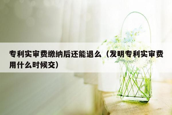 专利实审费缴纳后还能退么（发明专利实审费用什么时候交）