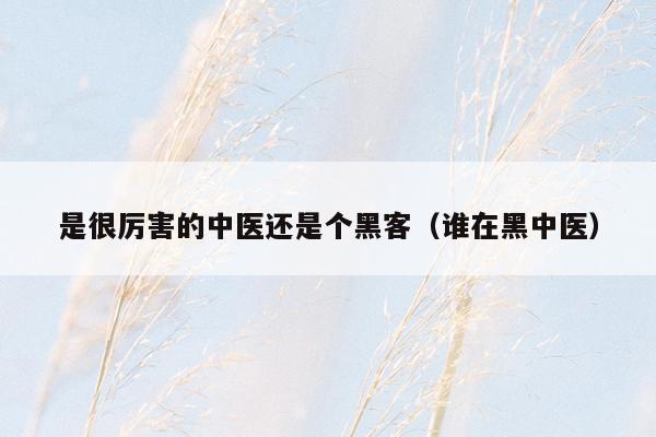 是很厉害的中医还是个黑客（谁在黑中医）