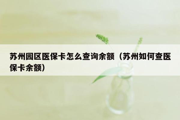 苏州园区医保卡怎么查询余额（苏州如何查医保卡余额）