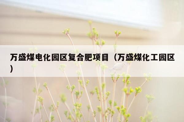 万盛煤电化园区复合肥项目（万盛煤化工园区）