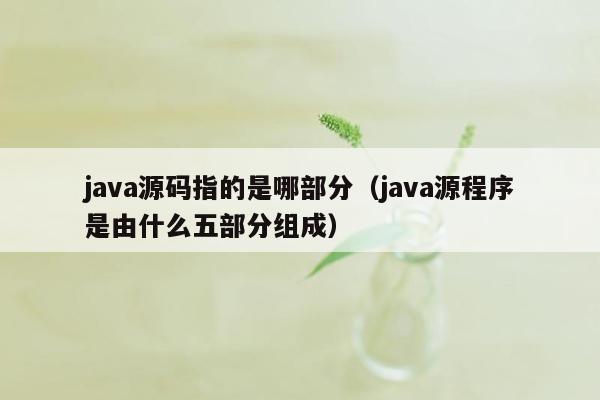 java源码指的是哪部分（java源程序是由什么五部分组成）