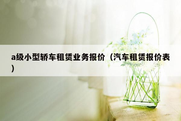 a级小型轿车租赁业务报价（汽车租赁报价表）