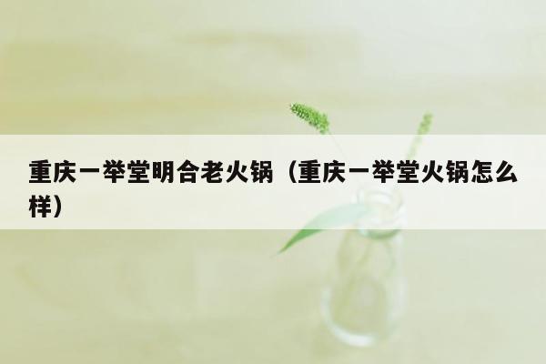 重庆一举堂明合老火锅（重庆一举堂火锅怎么样）