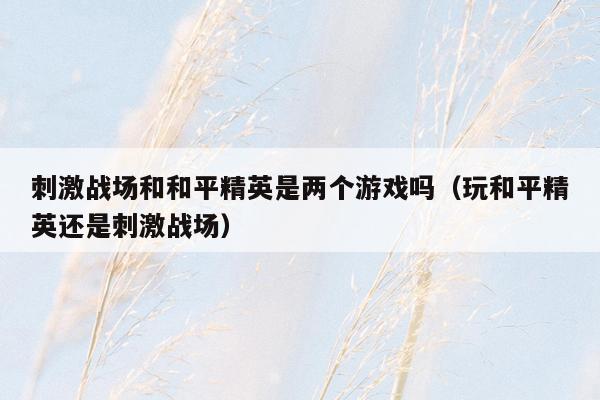 刺激战场和和平精英是两个游戏吗（玩和平精英还是刺激战场）