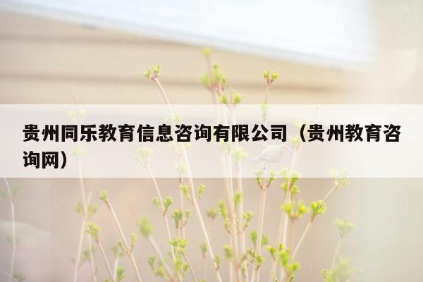 贵州同乐教育信息咨询有限公司（贵州教育咨询网）
