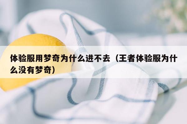 体验服用梦奇为什么进不去（王者体验服为什么没有梦奇）