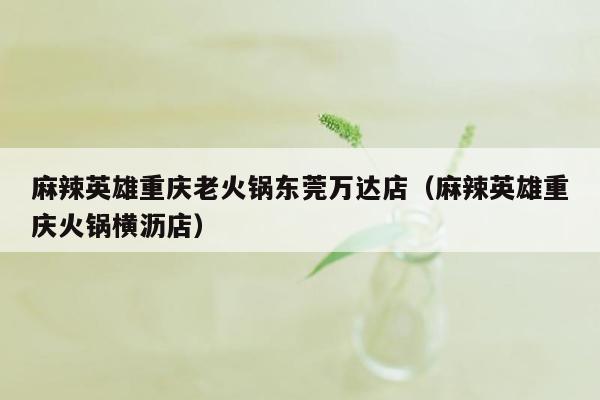 麻辣英雄重庆老火锅东莞万达店（麻辣英雄重庆火锅横沥店）